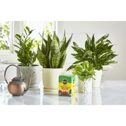 Best Pirce 🧨 Miracle-Gro Powder Plant Food 1.5 lb 🧨 -Scotts Sales Store 09a0d907 4d93 4be8 97fa 03e60e508754