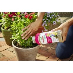 Best Sale ❤️ Osmocote Smart-Release Plus Outdoor & Indoor Granules Plant Food 2 lb 🧨 17 Best Sale ❤️ Osmocote Smart-Release Plus Outdoor & Indoor Granules Plant Food 2 lb 🧨 -Scotts Sales Store 0a412314 17f4 4de6 bb94 340bd6876e75