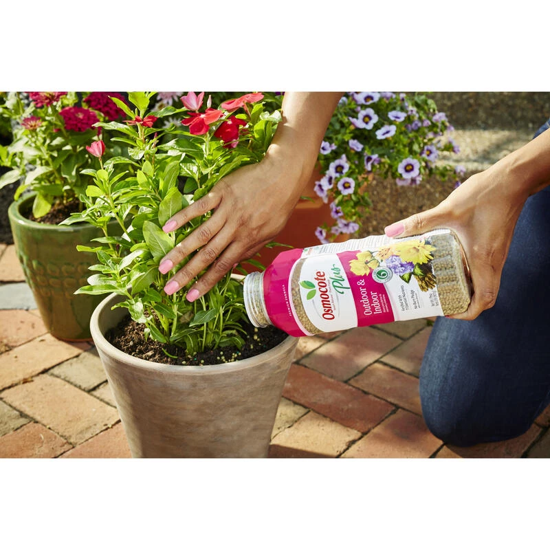 Best Sale ❤️ Osmocote Smart-Release Plus Outdoor & Indoor Granules Plant Food 2 lb 🧨 10 Best Sale ❤️ Osmocote Smart-Release Plus Outdoor & Indoor Granules Plant Food 2 lb 🧨 - Image 8