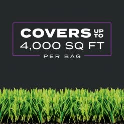 Buy ⭐ Scotts Turf Builder Southern Weed & Feed Lawn Fertilizer For Multiple Grass Types 4000 sq ft 🎁 -Scotts Sales Store 0a5022ef ae3d 4c45 a85c ddfbf1970071
