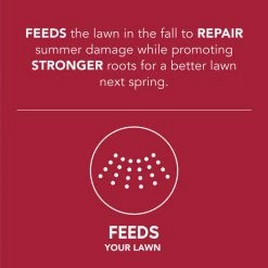 Flash Sale 🎁 Scotts Turf Builder WinterGuard Fall Lawn Fertilizer For All Grasses 15000 sq ft 😍 15 Flash Sale 🎁 Scotts Turf Builder WinterGuard Fall Lawn Fertilizer For All Grasses 15000 sq ft 😍 -Scotts Sales Store 0ddc959b c784 4e8e aa42 cf1bd53d50ca