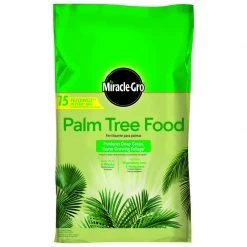 Budget 🔥 Miracle-Gro Granules Palm Plant Food 20 lb 🌟