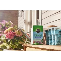 Outlet ๐ Miracle-Gro Miracid Powder Hibiscus Plant Food 4 lb โค๏ธ 19 Outlet ๐ Miracle-Gro Miracid Powder Hibiscus Plant Food 4 lb โค๏ธ -Scotts Sales Store 10986f5a b468 457e be6f ce6196e11ac0