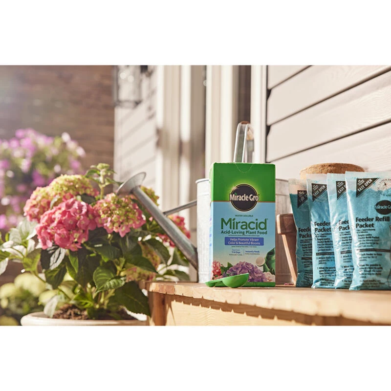 Outlet ๐ Miracle-Gro Miracid Powder Hibiscus Plant Food 4 lb โค๏ธ 11 Outlet ๐ Miracle-Gro Miracid Powder Hibiscus Plant Food 4 lb โค๏ธ - Image 9