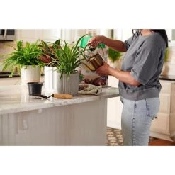Best Sale 👍 Miracle-Gro Indoor Plant Potting Soil 16 qt ⭐ -Scotts Sales Store 11814151 0ed5 4216 b485 f6a235b7242a
