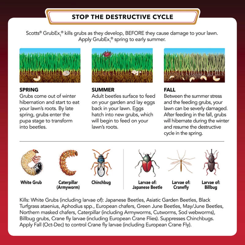 Promo 😀 Scotts GrubEx Grub and Insect Control Granules 14.35 lb 🤩 6 Promo 😀 Scotts GrubEx Grub and Insect Control Granules 14.35 lb 🤩 - Image 4