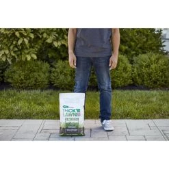 Buy 👏 Scotts Turf Builder Tall Fescue Grass Sun or Shade Grass Seed and Fertilizer 12 lb ✨ 12 Buy 👏 Scotts Turf Builder Tall Fescue Grass Sun or Shade Grass Seed and Fertilizer 12 lb ✨ -Scotts Sales Store 136e83a5 87c5 44e4 bfca 17510ee1a009