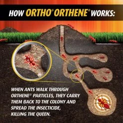 Budget ⭐ Ortho Orthene Fire Ant Killer Powder 12 oz 🔥 -Scotts Sales Store 14039cd9 511d 4967 82a3 121fea8329bf