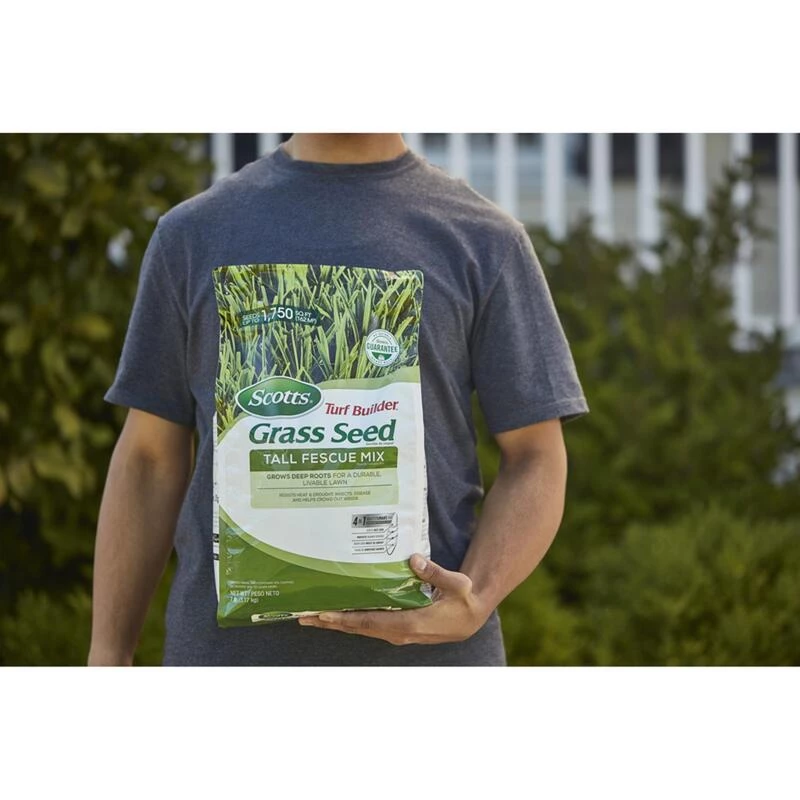 Best Sale ✨ Scotts Turf Builder Tall Fescue Grass Sun or Shade Grass Seed 7 lb ✨ 4 Best Sale ✨ Scotts Turf Builder Tall Fescue Grass Sun or Shade Grass Seed 7 lb ✨ - Image 2