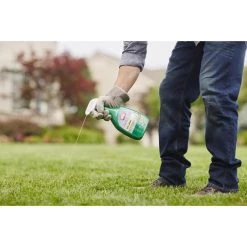 Flash Sale ⭐ Ortho Nutsedge Killer RTU Liquid 24 oz ❤️ 5 Flash Sale ⭐ Ortho Nutsedge Killer RTU Liquid 24 oz ❤️ -Scotts Sales Store 1a992c70 4199 4e90 9bb6 e7d1f4adc886