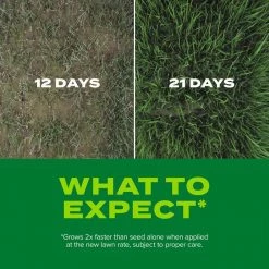 Best Sale 🔔 Scotts Turf Builder Rapid Grass Mixed Sun or Shade Grass Seed and Fertilizer 16 lb 🔔 -Scotts Sales Store 1ad265f2 e245 4ef6 b65a 58535c9921c0