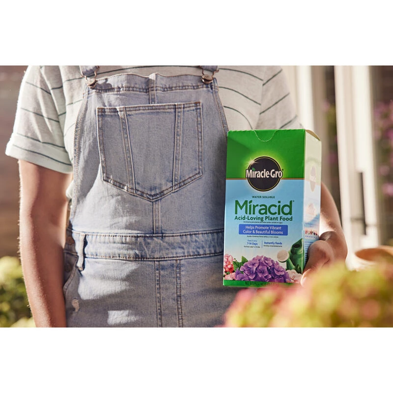 Outlet ๐ Miracle-Gro Miracid Powder Hibiscus Plant Food 4 lb โค๏ธ 10 Outlet ๐ Miracle-Gro Miracid Powder Hibiscus Plant Food 4 lb โค๏ธ - Image 8