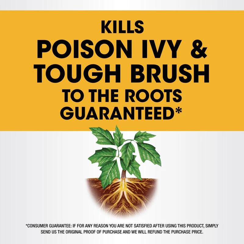 Cheapest 🎉 Roundup Poison Ivy Killer RTU Liquid 1.33 gal ⌛ 4 Cheapest 🎉 Roundup Poison Ivy Killer RTU Liquid 1.33 gal ⌛ - Image 2