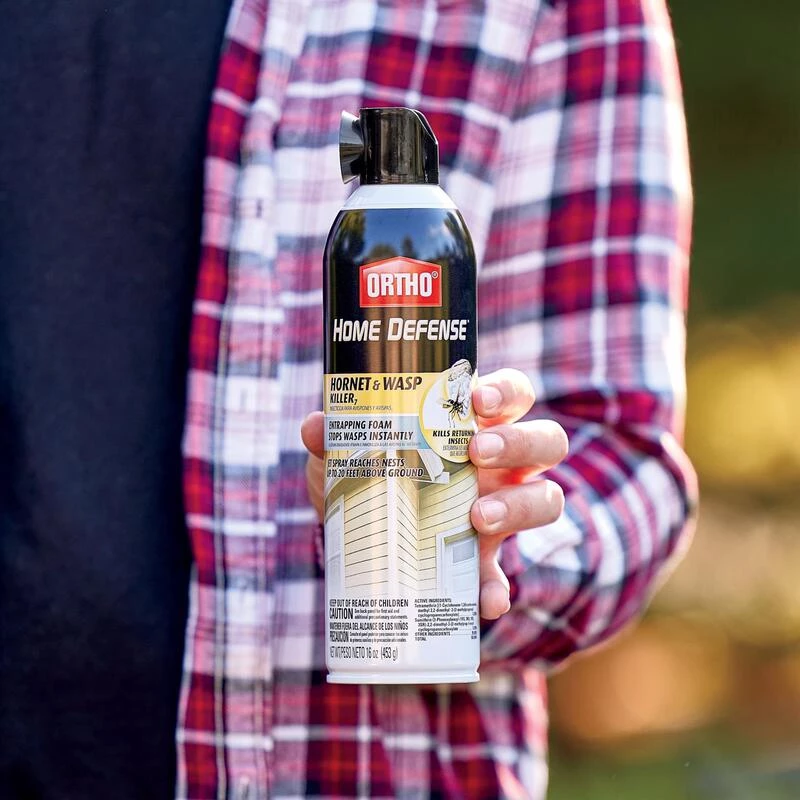 Cheap 😀 Ortho Home Defense Wasp and Hornet Killer Aerosol 16 oz 🧨 11 Cheap 😀 Ortho Home Defense Wasp and Hornet Killer Aerosol 16 oz 🧨 - Image 9