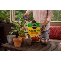 Top 10 ❤️ Miracle-Gro Flower and Plant Potting Mix 8 qt 🧨 -Scotts Sales Store 1fbfdd5b b847 4acc 9e4b e1e359bbc7b8