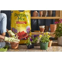 Flash Sale โ Miracle-Gro Flower and Plant Potting Mix 2 cu ft ๐ 19 Flash Sale โ Miracle-Gro Flower and Plant Potting Mix 2 cu ft ๐ -Scotts Sales Store 211d93e3 8eb6 426e af4e 62dbdb7c5b6b