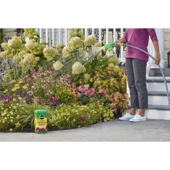Coupon โค๏ธ Miracle-Gro Granules All Purpose Plant Food 5.5 lb ๐ 12 Coupon โค๏ธ Miracle-Gro Granules All Purpose Plant Food 5.5 lb ๐ -Scotts Sales Store 228b08c9 7d34 4760 9966 b142169f4f03