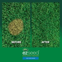 Outlet 👍 Scotts EZ Seed Mixed Sun or Shade Pet/Dog Spot Grass Repair Seed 2 lb 🛒 17 Outlet 👍 Scotts EZ Seed Mixed Sun or Shade Pet/Dog Spot Grass Repair Seed 2 lb 🛒 -Scotts Sales Store 259fac7b d89d 44bd b008 50f6bc546fb6