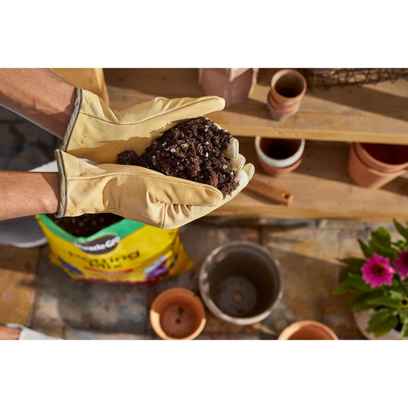 Discount ❤️ Miracle-Gro Flower and Plant Potting Mix 16 qt 💯 9 Discount ❤️ Miracle-Gro Flower and Plant Potting Mix 16 qt 💯 - Image 7