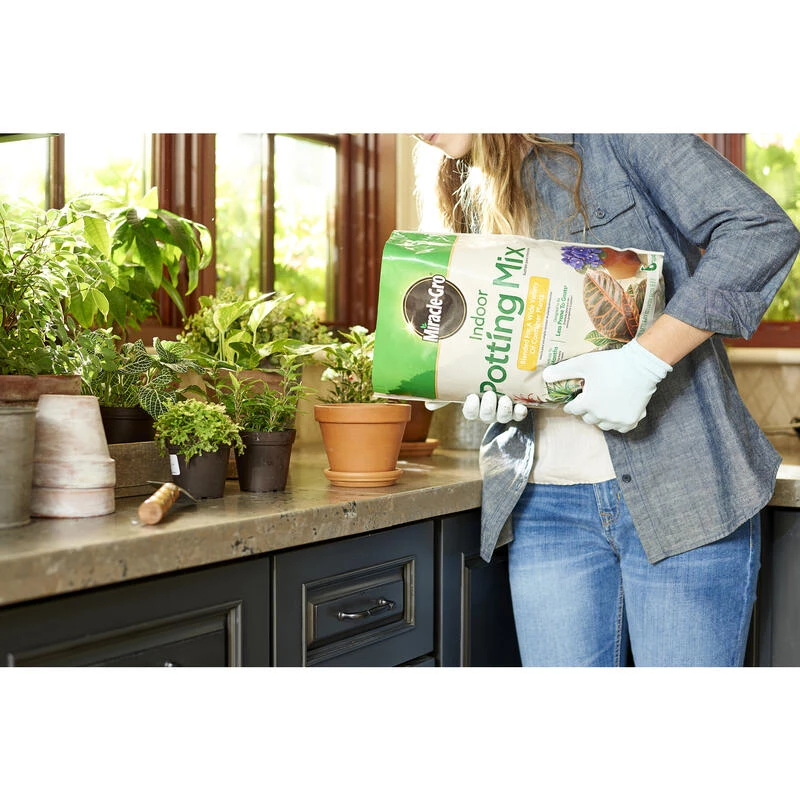 Cheap ๐ Miracle-Gro Indoor Plant Potting Soil 6 qt ๐คฉ 6 Cheap ๐ Miracle-Gro Indoor Plant Potting Soil 6 qt ๐คฉ - Image 4