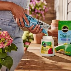 Outlet ๐ Miracle-Gro Miracid Powder Hibiscus Plant Food 4 lb โค๏ธ 16 Outlet ๐ Miracle-Gro Miracid Powder Hibiscus Plant Food 4 lb โค๏ธ -Scotts Sales Store 2c26e070 afd9 4750 8a62 158afd8a2bcc