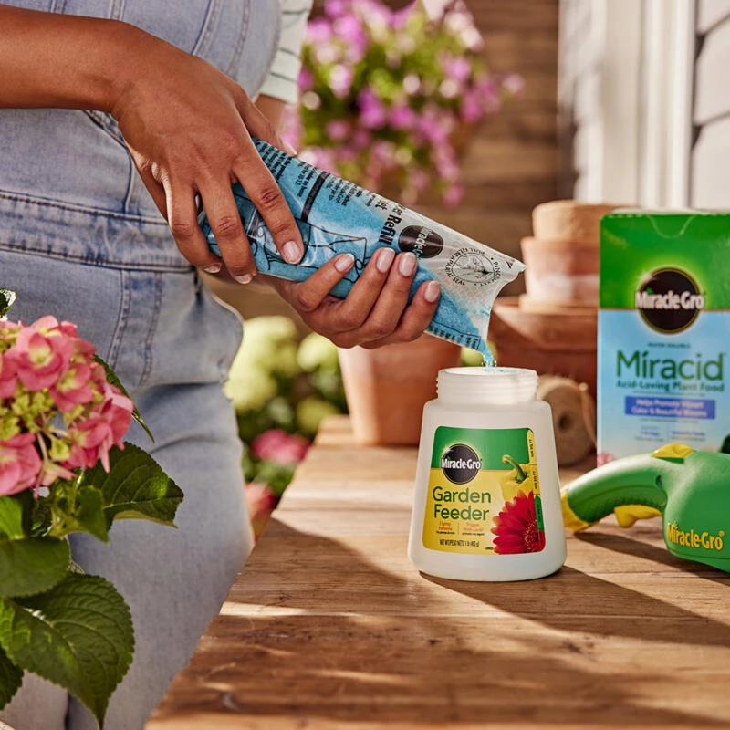 Outlet ๐ Miracle-Gro Miracid Powder Hibiscus Plant Food 4 lb โค๏ธ 8 Outlet ๐ Miracle-Gro Miracid Powder Hibiscus Plant Food 4 lb โค๏ธ - Image 6