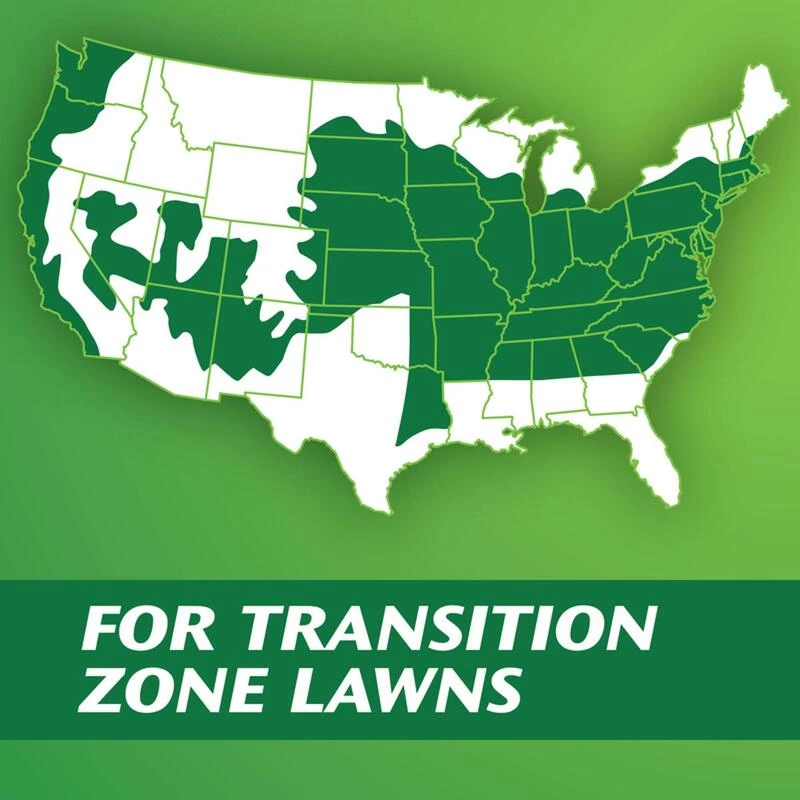 Best Sale ✨ Scotts Turf Builder Tall Fescue Grass Sun or Shade Grass Seed 7 lb ✨ 8 Best Sale ✨ Scotts Turf Builder Tall Fescue Grass Sun or Shade Grass Seed 7 lb ✨ - Image 6