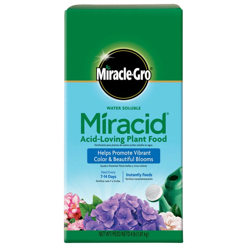 Outlet ๐ Miracle-Gro Miracid Powder Hibiscus Plant Food 4 lb โค๏ธ 3 Outlet ๐ Miracle-Gro Miracid Powder Hibiscus Plant Food 4 lb โค๏ธ