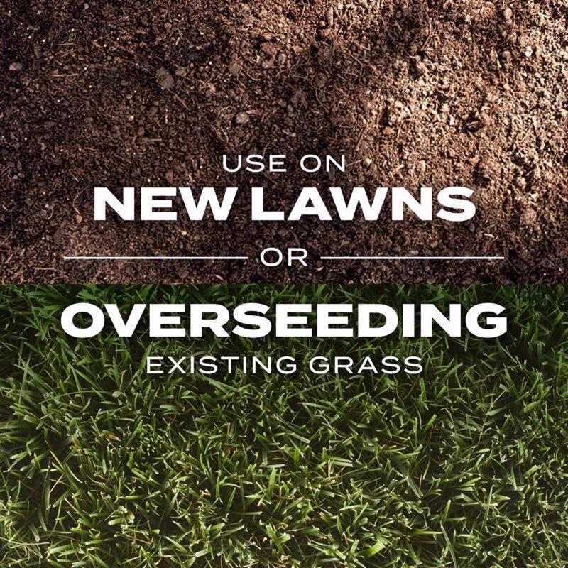 New ❤️ Scotts Turf Builder Rapid Grass Tall Fescue Grass Sun or Shade Grass Seed and Fertilizer 16 lb 🎉 8 New ❤️ Scotts Turf Builder Rapid Grass Tall Fescue Grass Sun or Shade Grass Seed and Fertilizer 16 lb 🎉 - Image 6