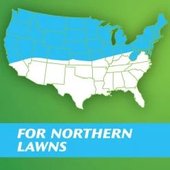 Best reviews of ⭐ Scotts Turf Builder Kentucky Bluegrass Sun or Shade Grass Seed 3 lb 🎁 -Scotts Sales Store 3872978d 528f 4b0b 8fbc b5356b60cc76
