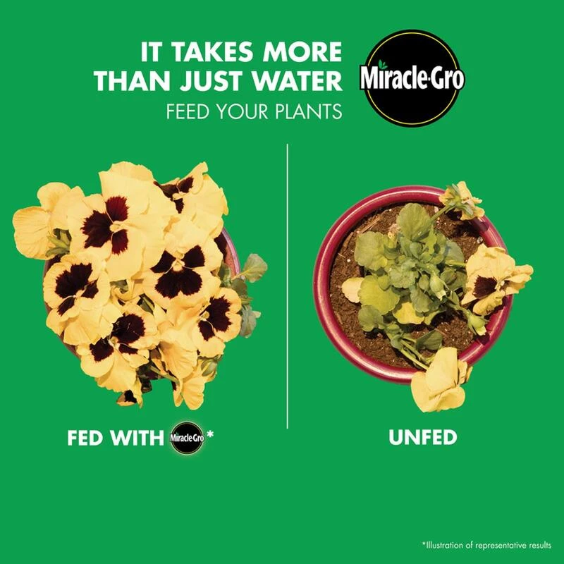 Outlet β¨ Miracle-Gro Liquid All Purpose Plant Food 1 qt π 8 Outlet β¨ Miracle-Gro Liquid All Purpose Plant Food 1 qt π - Image 6