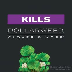 Buy ⭐ Scotts Turf Builder Southern Weed & Feed Lawn Fertilizer For Multiple Grass Types 4000 sq ft 🎁 -Scotts Sales Store 3c502da0 9486 4895 9ea4 9041aaa26c22