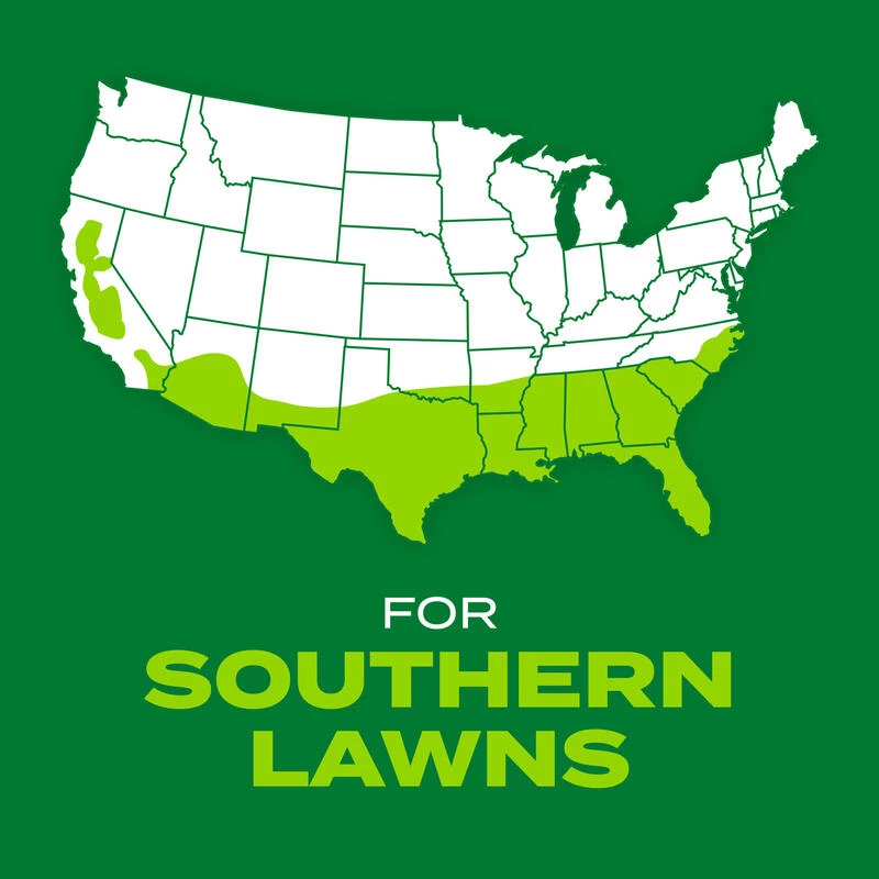 Best reviews of 👏 Scotts Turf Builder Rapid Grass Bermuda Grass Sun or Shade Grass Seed and Fertilizer 4 lb 😍 12 Best reviews of 👏 Scotts Turf Builder Rapid Grass Bermuda Grass Sun or Shade Grass Seed and Fertilizer 4 lb 😍 - Image 10