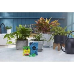 Outlet ๐ Miracle-Gro Granules Tomato, Tulips, Strawberries Plant Food 8 oz ๐ฏ 10 Outlet ๐ Miracle-Gro Granules Tomato, Tulips, Strawberries Plant Food 8 oz ๐ฏ -Scotts Sales Store 4740dec2 dfd8 481b 9aba 90c194fed36b