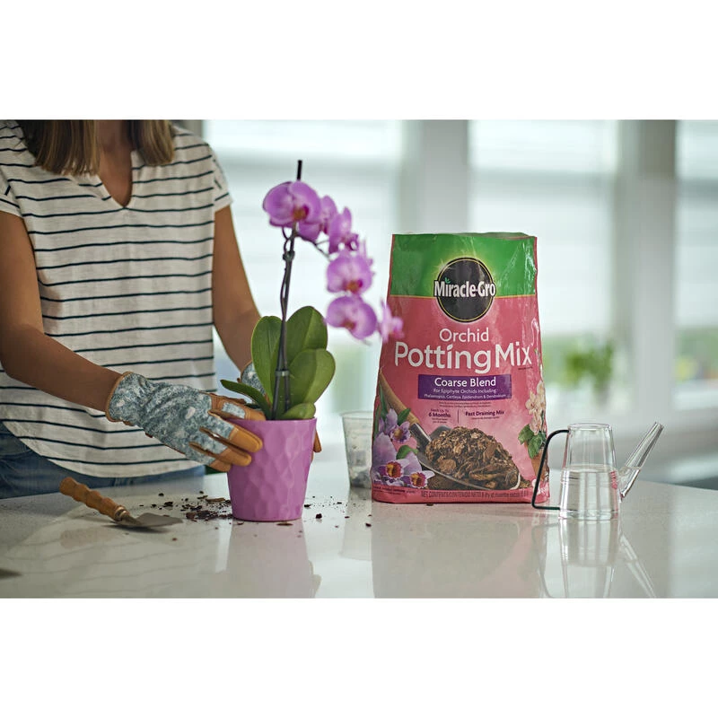 Top 10 ✔️ Miracle-Gro Orchid Potting Mix 8 qt ⭐ 8 Top 10 ✔️ Miracle-Gro Orchid Potting Mix 8 qt ⭐ - Image 6