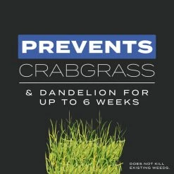 Best deal ๐ Scotts Turf Builder Pre Emergent Preventer & Fertilizer Lawn Fertilizer For All Grasses 4000 sq ft โค๏ธ 17 Best deal ๐ Scotts Turf Builder Pre Emergent Preventer & Fertilizer Lawn Fertilizer For All Grasses 4000 sq ft โค๏ธ -Scotts Sales Store 49b2b39b 8733 43b9 882b 976dcf74fcda