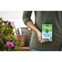 Coupon 🌟 Miracle-Gro Powder Azalea, Camellia, Rhododendron Plant Food 1.5 lb ⌛ 13 Coupon 🌟 Miracle-Gro Powder Azalea, Camellia, Rhododendron Plant Food 1.5 lb ⌛ -Scotts Sales Store 4adb302d a9f1 4c3c a41b 61ac93e20f50