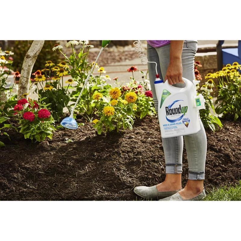 New ๐ Roundup Weed and Grass Killer RTU Liquid 1.33 gal ๐ 8 New ๐ Roundup Weed and Grass Killer RTU Liquid 1.33 gal ๐ - Image 6