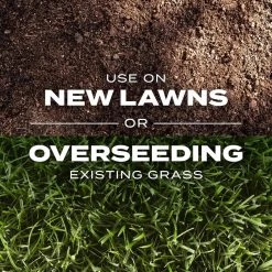 Brand new 🌟 Scotts Turf Builder Rapid Grass Mixed Sun or Shade Grass Seed and Fertilizer 5.6 lb 👍 20 Brand new 🌟 Scotts Turf Builder Rapid Grass Mixed Sun or Shade Grass Seed and Fertilizer 5.6 lb 👍 -Scotts Sales Store 50a06073 d528 47cd a245 5acae7f7b9d3