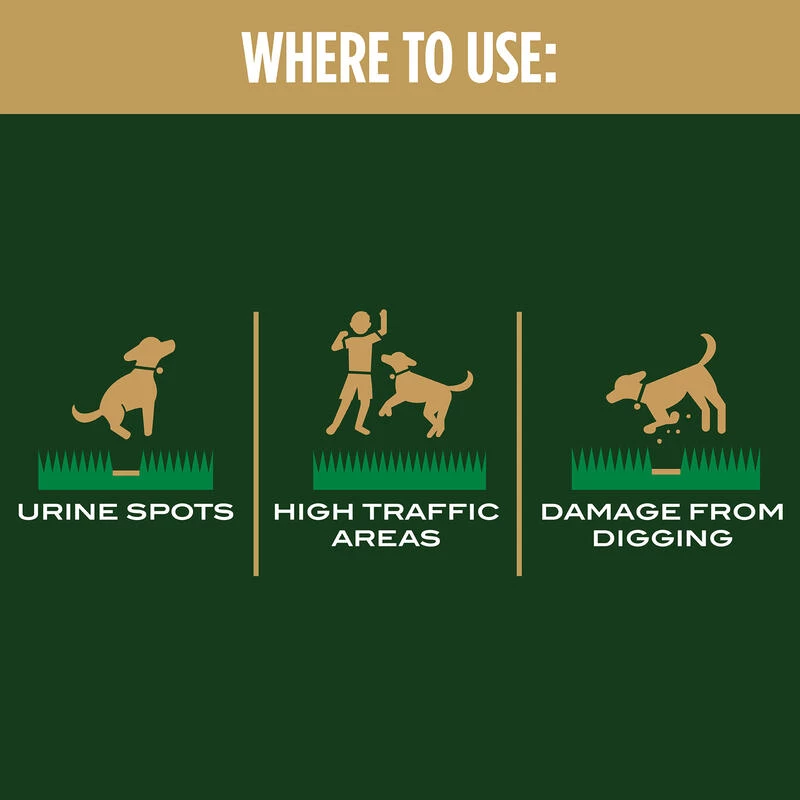 Outlet 👍 Scotts EZ Seed Mixed Sun or Shade Pet/Dog Spot Grass Repair Seed 2 lb 🛒 11 Outlet 👍 Scotts EZ Seed Mixed Sun or Shade Pet/Dog Spot Grass Repair Seed 2 lb 🛒 - Image 9