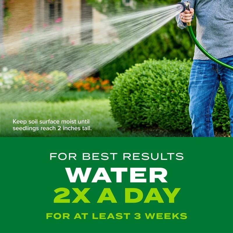 Best reviews of 👏 Scotts Turf Builder Rapid Grass Bermuda Grass Sun or Shade Grass Seed and Fertilizer 4 lb 😍 8 Best reviews of 👏 Scotts Turf Builder Rapid Grass Bermuda Grass Sun or Shade Grass Seed and Fertilizer 4 lb 😍 - Image 6