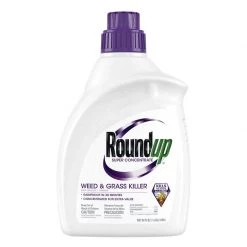 Deals ๐ Roundup Weed and Grass Killer Concentrate 0.5 gal ๐