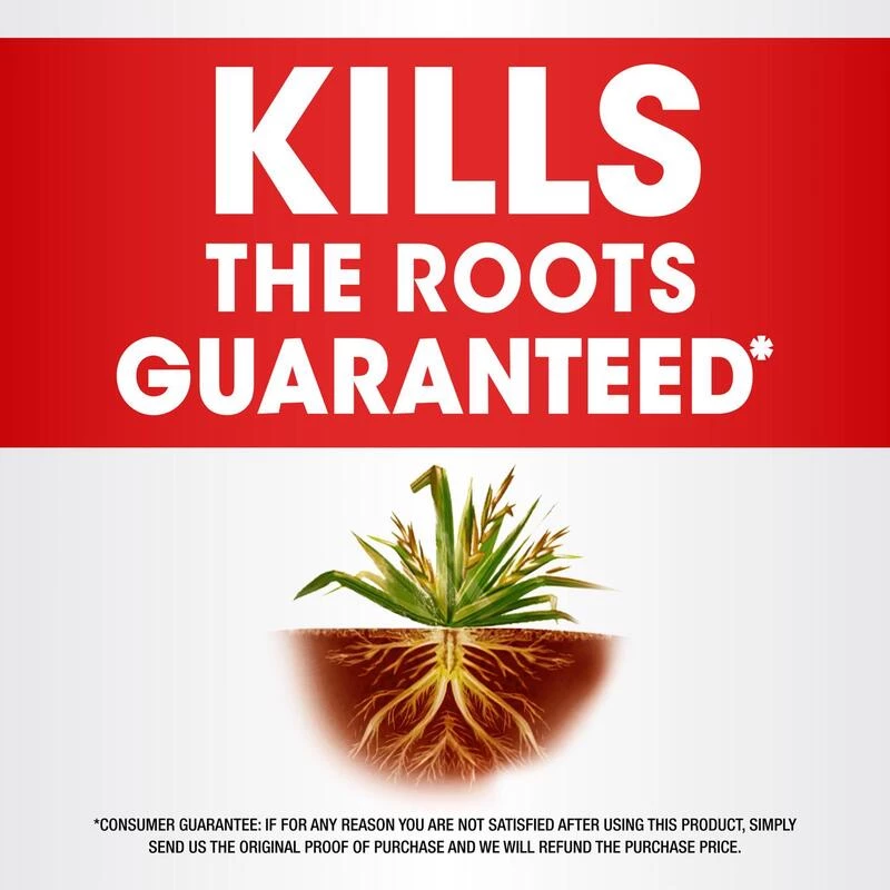 Cheapest 🎉 Roundup Weed and Grass Killer Concentrate 16 oz ✔️ 4 Cheapest 🎉 Roundup Weed and Grass Killer Concentrate 16 oz ✔️ - Image 2