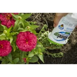 Budget ⌛ Roundup Precision Gel Weed and Grass Killer RTU Liquid 5 oz ⌛ 15 Budget ⌛ Roundup Precision Gel Weed and Grass Killer RTU Liquid 5 oz ⌛ -Scotts Sales Store 57cdda2b bfc9 4e91 9a22 d2af4024ffce