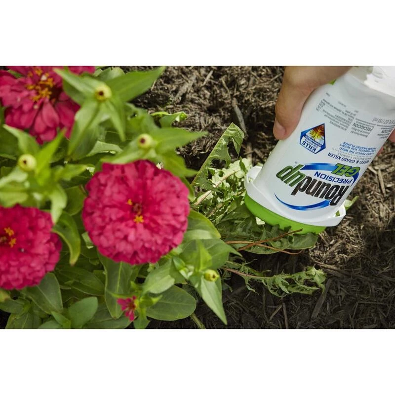 Budget ⌛ Roundup Precision Gel Weed and Grass Killer RTU Liquid 5 oz ⌛ 9 Budget ⌛ Roundup Precision Gel Weed and Grass Killer RTU Liquid 5 oz ⌛ - Image 7