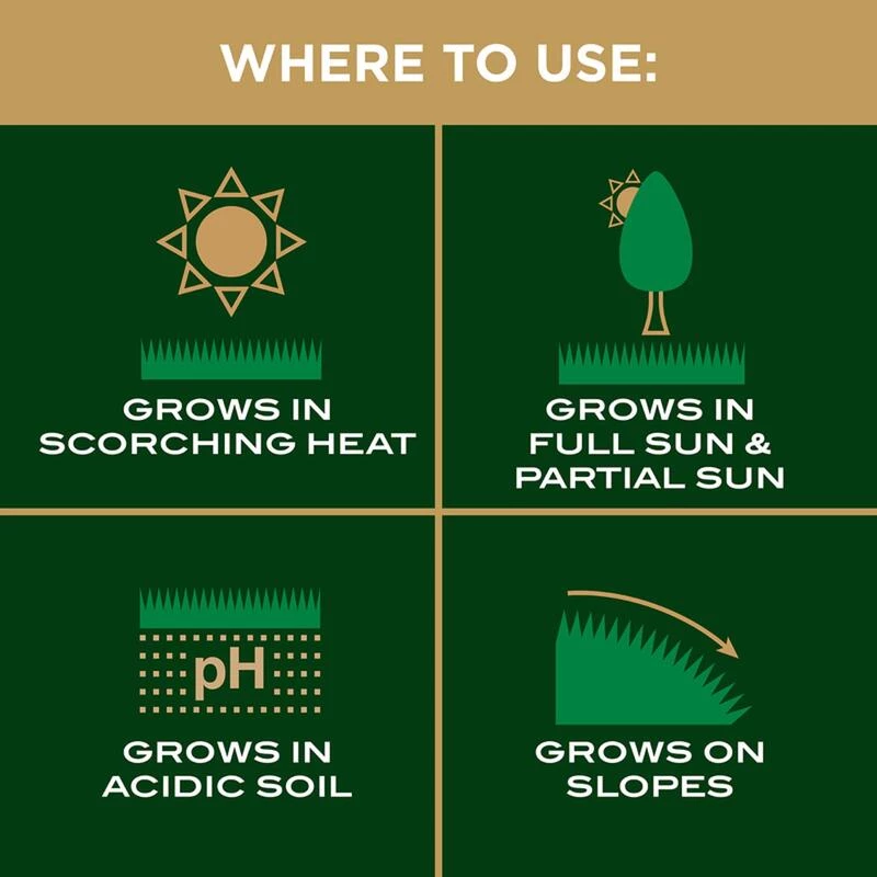 Best Sale ⌛ Scotts EZ Seed Centipede Grass Sun or Shade Grass Spot Repair Seed 10 lb 🔥 10 Best Sale ⌛ Scotts EZ Seed Centipede Grass Sun or Shade Grass Spot Repair Seed 10 lb 🔥 - Image 8