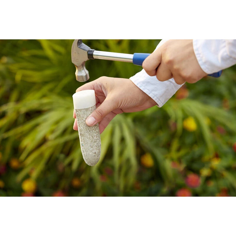 New ๐ Miracle-Gro Spikes Plant Food 12 pk โญ 7 New ๐ Miracle-Gro Spikes Plant Food 12 pk โญ - Image 6