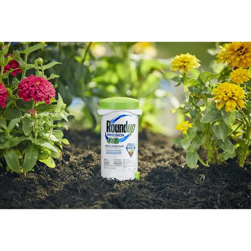 Budget ⌛ Roundup Precision Gel Weed and Grass Killer RTU Liquid 5 oz ⌛ 4 Budget ⌛ Roundup Precision Gel Weed and Grass Killer RTU Liquid 5 oz ⌛ - Image 2