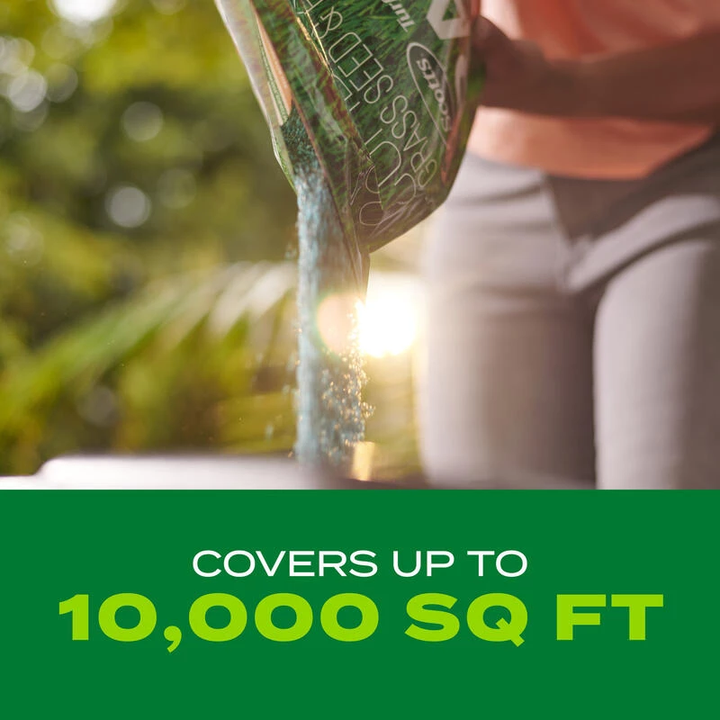 Promo 💯 Scotts Turf Builder Rapid Grass Bermuda Grass Sun or Shade Grass Seed and Fertilizer 8 lb 🎉 11 Promo 💯 Scotts Turf Builder Rapid Grass Bermuda Grass Sun or Shade Grass Seed and Fertilizer 8 lb 🎉 - Image 9