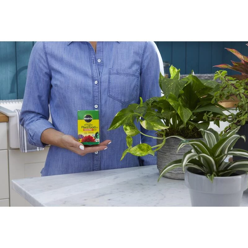 Outlet ๐ Miracle-Gro Granules Tomato, Tulips, Strawberries Plant Food 8 oz ๐ฏ 6 Outlet ๐ Miracle-Gro Granules Tomato, Tulips, Strawberries Plant Food 8 oz ๐ฏ - Image 4